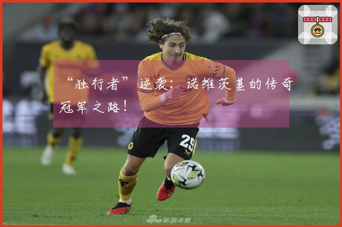 “独行者”逆袭：诺维茨基的传奇冠军之路！