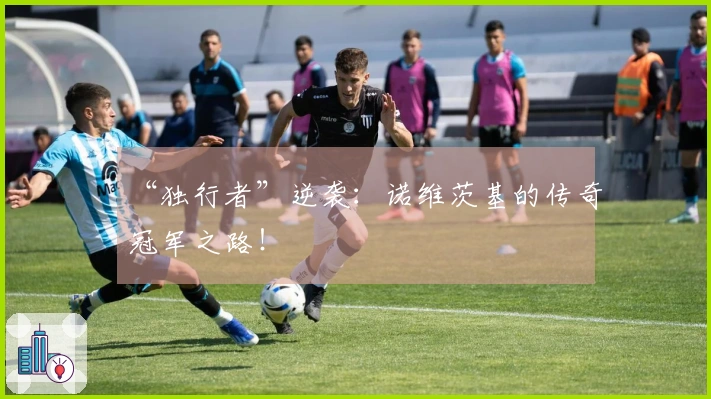 “独行者”逆袭：诺维茨基的传奇冠军之路！