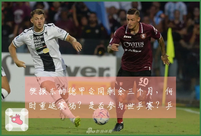 樊振东的德甲合同剩余三个月，何时重返赛场？是否参与世乒赛？乒协主席王励勤的回应